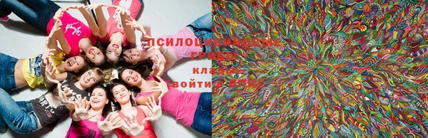 стаф Киреевск