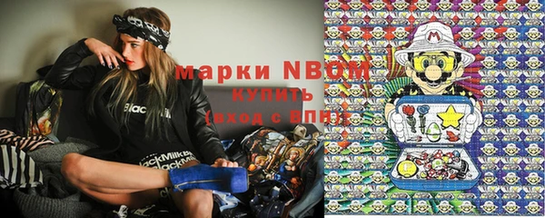 тгк Касимов