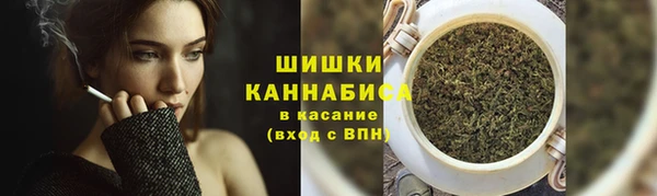 ПСИЛОЦИБИНОВЫЕ ГРИБЫ Киренск