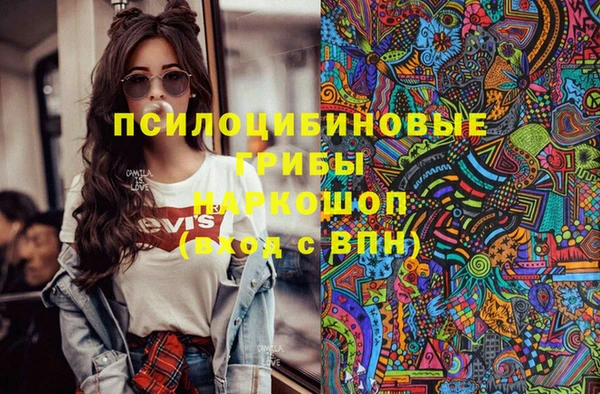 2c-b Карпинск