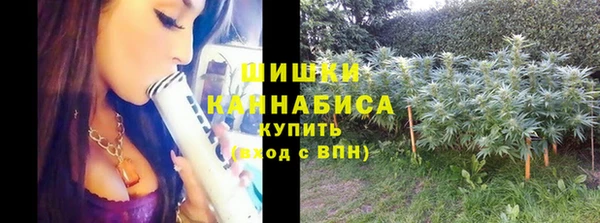 дживик Каменск-Шахтинский