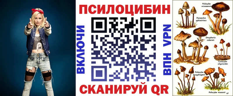 Псилоцибиновые грибы ЛСД  Купить где  Советская Гавань 